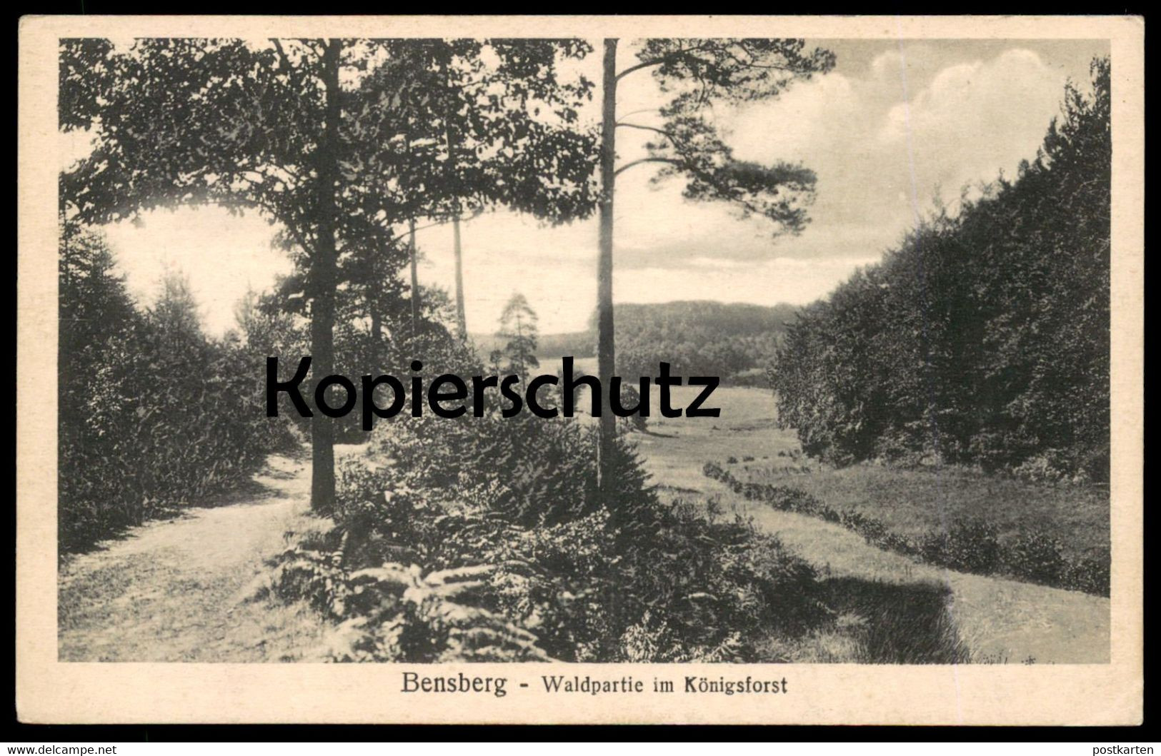 ALTE POSTKARTE BENSBERG WALDPARTIE IM KÖNIGSFORST Ansichtskarte Cpa Postcard AK - Bergisch Gladbach