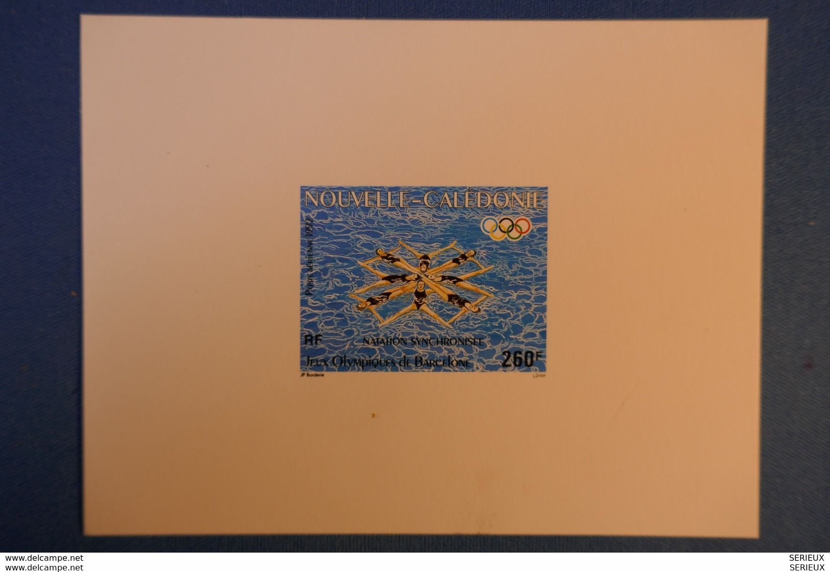 B10 NOUVELLE CALEDONIE EPREUVE DE LUXE NEUVE 1993. 260 F - Blocks & Sheetlets