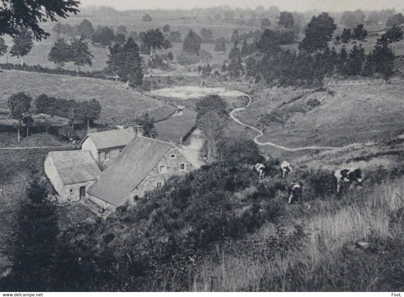 ROBERTVILLE  Vieux Moulin Pré Pâturages Vaches BELGIUM Old Mill Cows Pasture - Waimes - Weismes