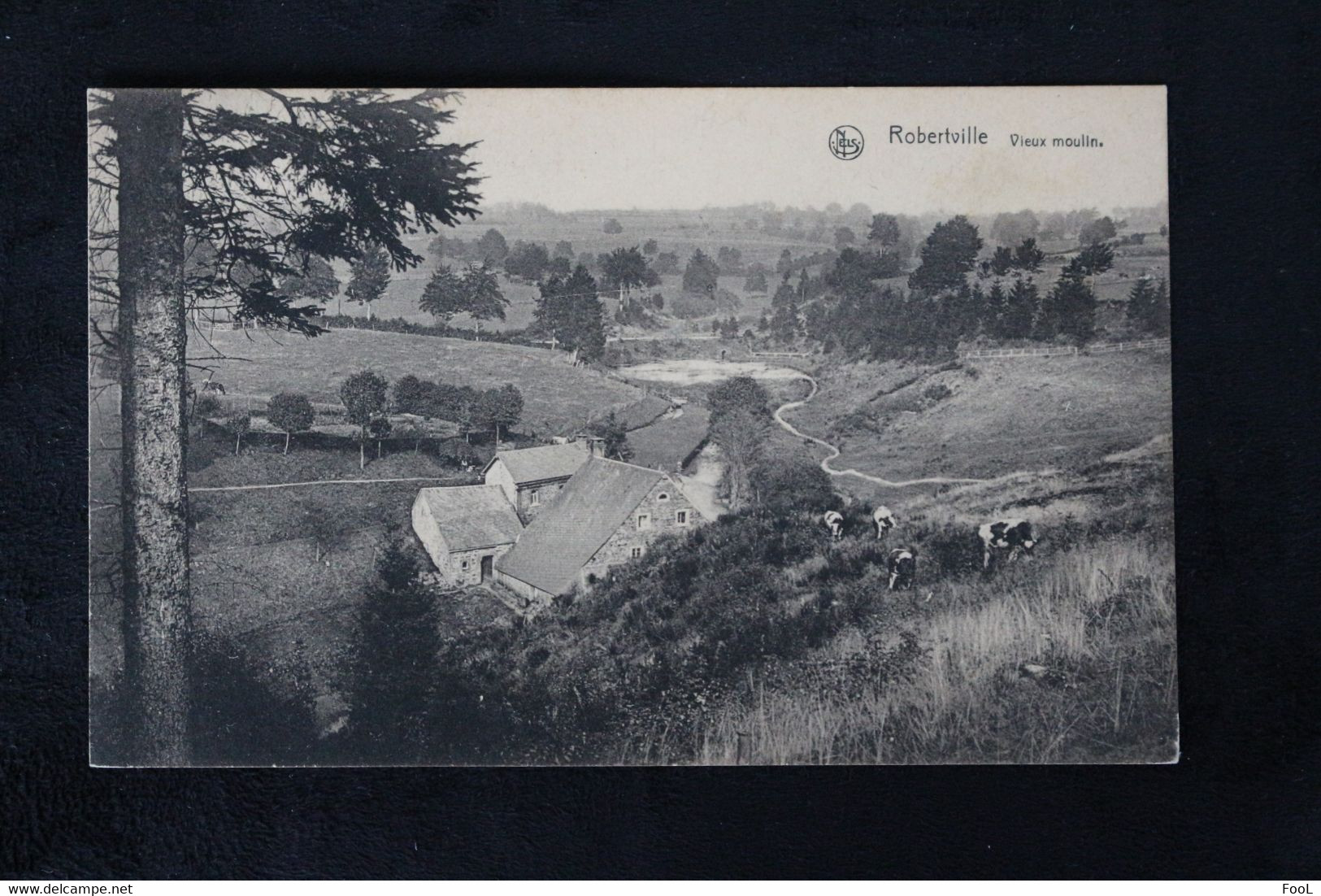 ROBERTVILLE  Vieux Moulin Pré Pâturages Vaches BELGIUM Old Mill Cows Pasture - Waimes - Weismes