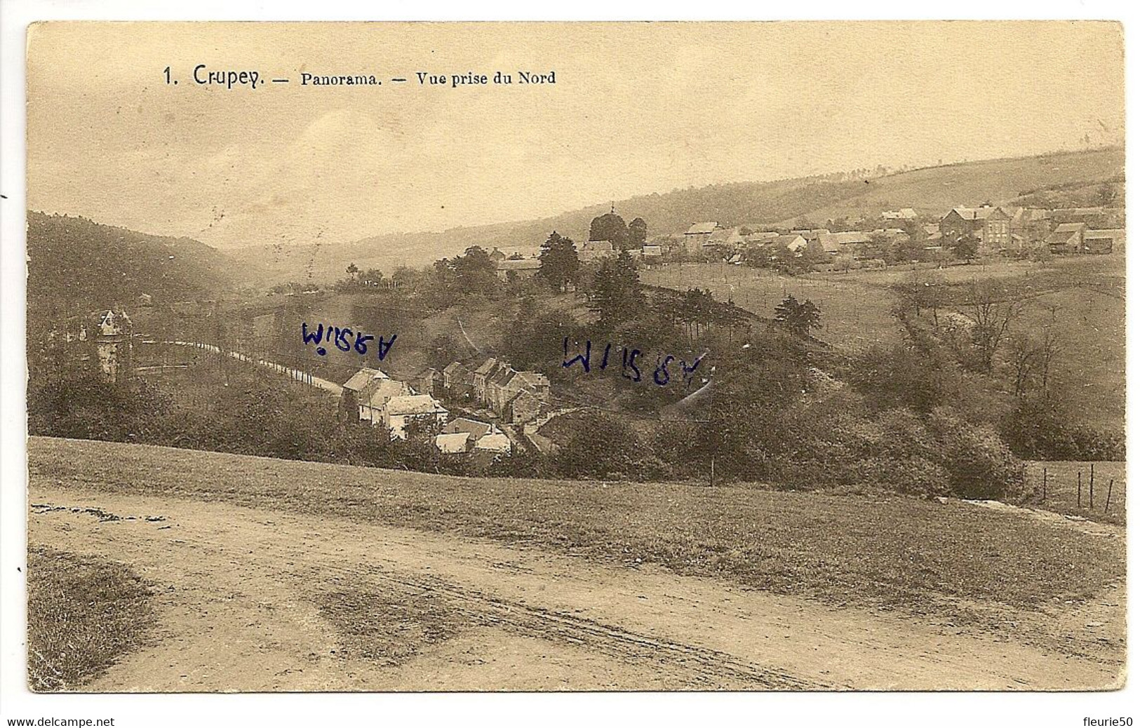 CRUPET - Panorama - Vue Prise Du Nord. - Assesse