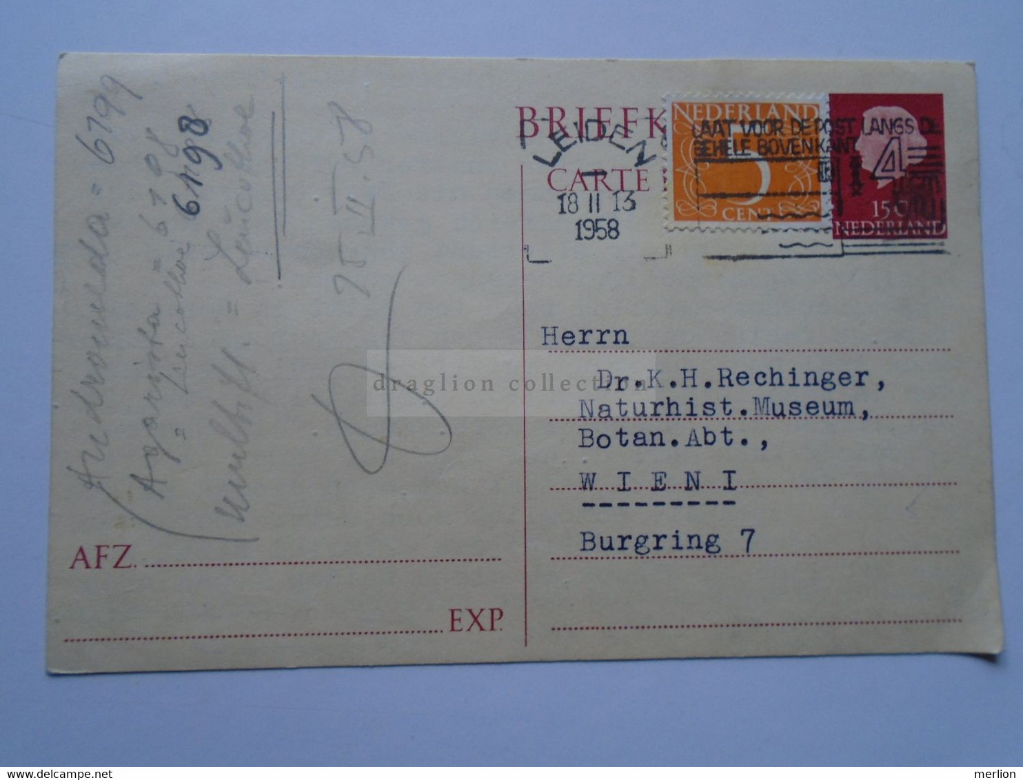 D175808 Netherlands  1958  LEIDEN   Sent To  K. H. Rechinger Botanist -  Naturhistorisches Museum  . Wien - Other & Unclassified