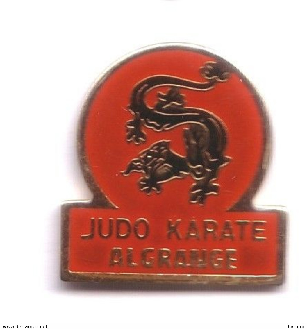 C119 Pin's Judo Karaté Algrange Moselle Achat Immédiat - Judo