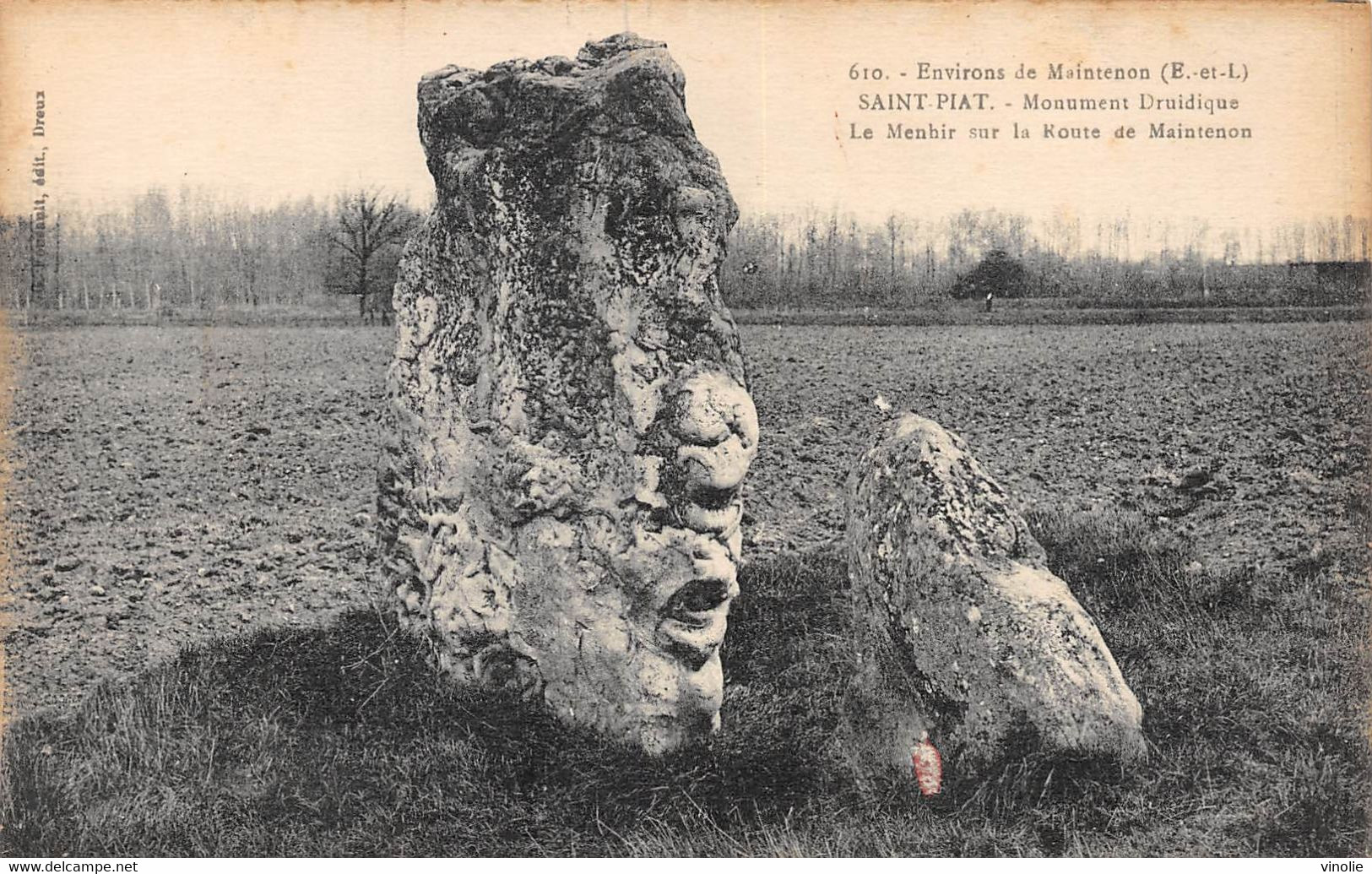 A-20-7400 : ENVIRONS DE MAINTENON. SAINT-PIAT. MONUMENT DRUIDIQUE. LE MENHIR - Dolmen & Menhirs