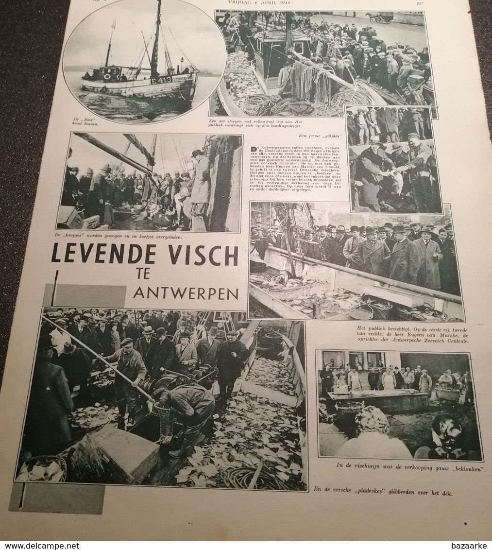 VISSERIJ.1934. LEVENDE VISCH TE ANTWERPEN / DE SLOEP MET VOLLE BUIT LEGT AAN/EUGEEN VAN MARCKE OPRICHTER  ZEEVISCH CEN - Pêche