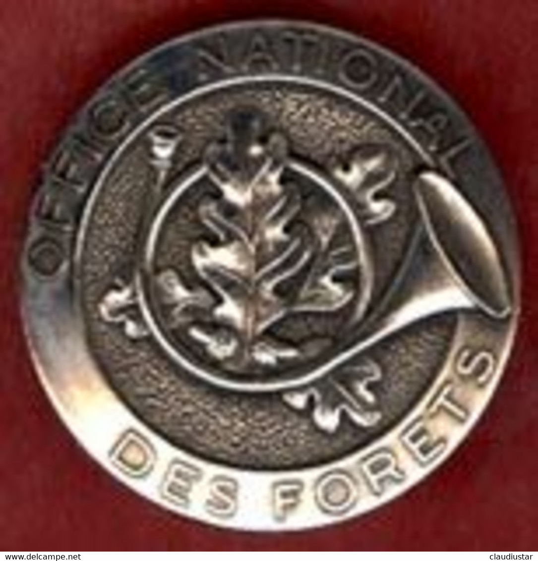 ** BROCHE  OFFICE  NATIONAL  Des  FORETS ** - Broches