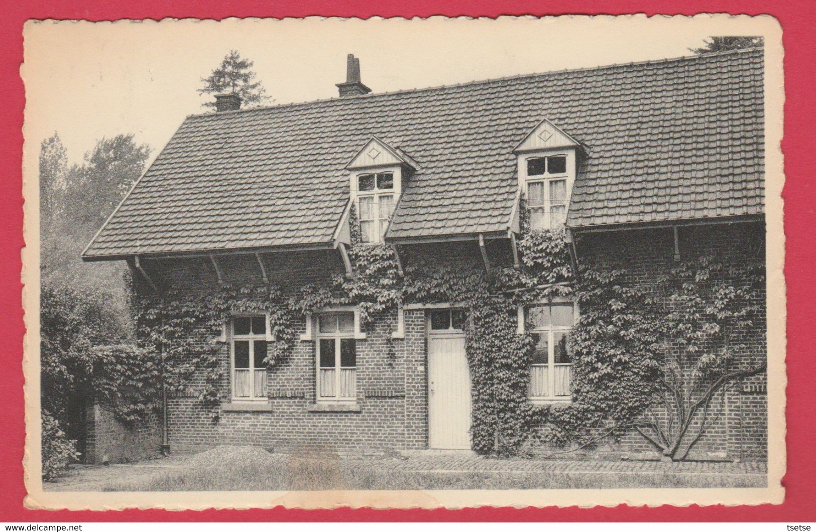 Roisin - Caillou-qui-bique - Maison De Musée Verhaeren -1958 ( Voir Verso ) - Honnelles