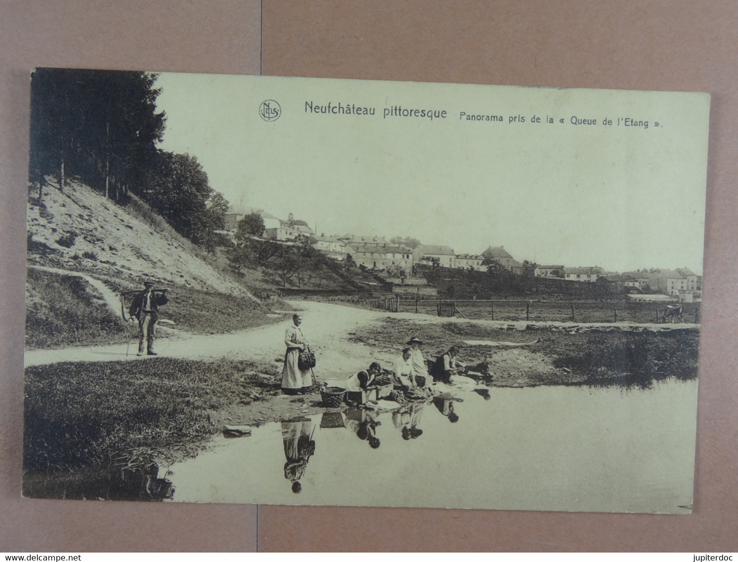 Neufchâteau Pittoresque Panorama Pris De La Queue De L'étang (laveuses) - Neufchateau