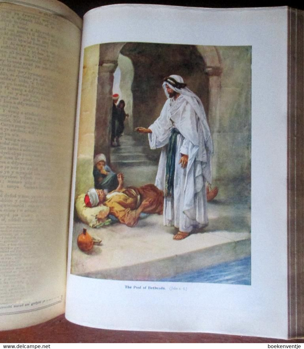 19th Century Holy Bible - Efengyl Gogoniant Y Bendigedig Dduw / BEIBL CYSSEGRLAN - BIBL yr Addoliad Teuluaidd