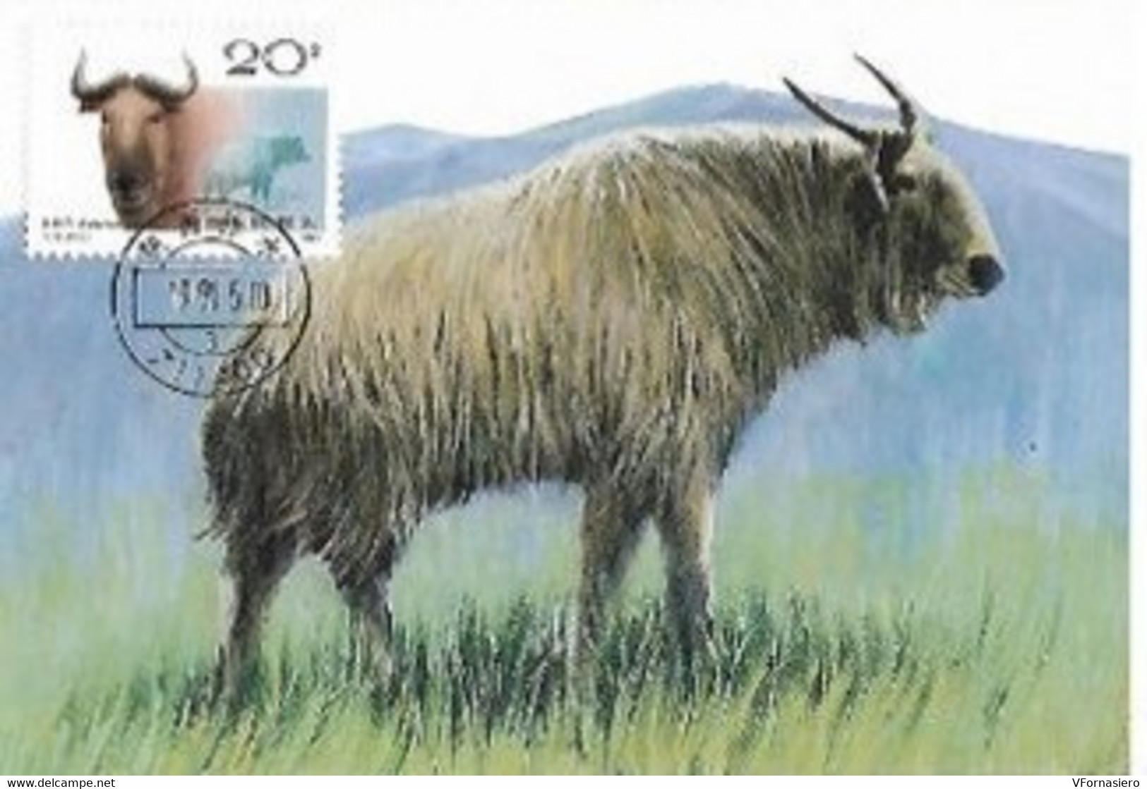 FORMOSA ʘ 1987, MAXIMUM CARD, 5 CARTOLINE ANIMALI - Formosa