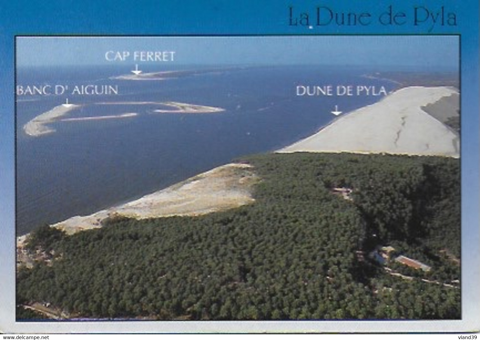 Bassin D'Arcachon - Dune Du Pyla - Arcachon