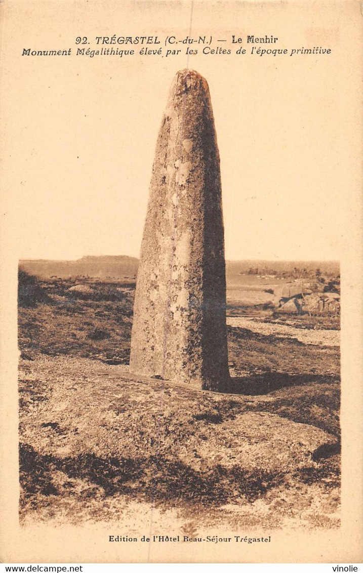 A-20-7494 : LE MENHIR DE TREGASTEL - Dolmen & Menhirs