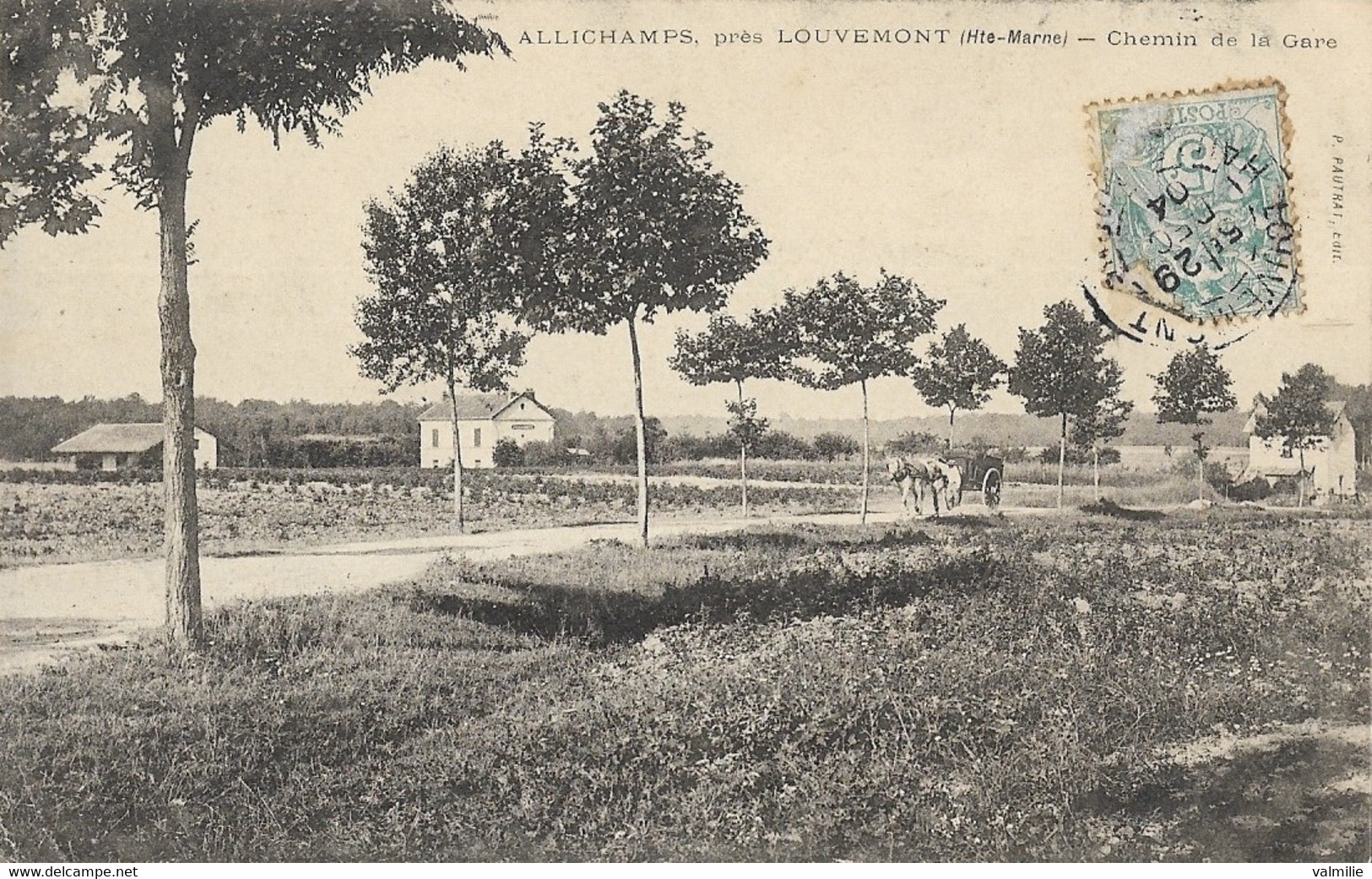 ALLICHAMPS, Près LOUVEMONT - Chemin De La Gare - Autres & Non Classés