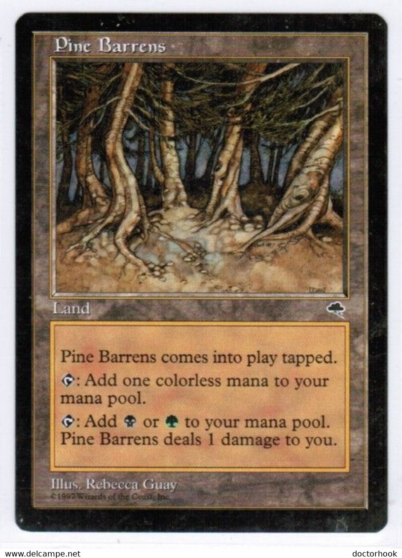 MAGIC The GATHERING  "PINE BARRENS"---TEMPEST (MTG-5-9) - Gebiete