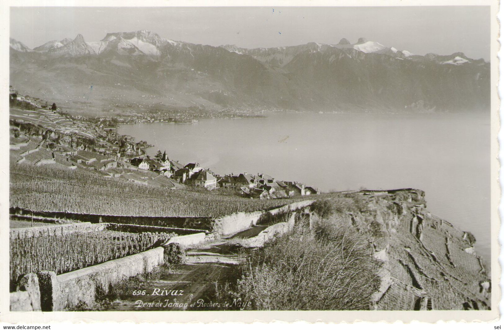 B 3625 - Svizzera Rivaz - Rivaz
