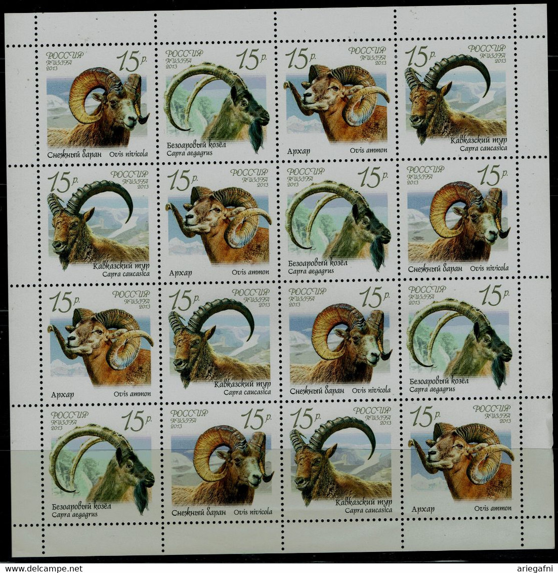 RUSSIA 2013 WILD SHEEP AND GOATS FULL SHEET MI No 1899-902 MNH VF !! - Fogli Completi