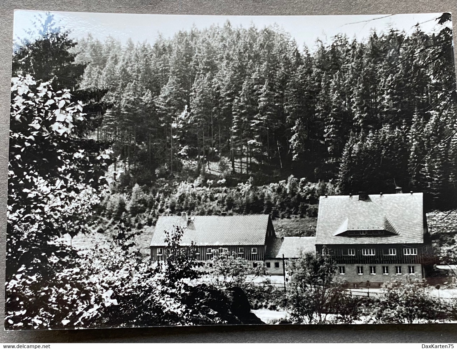 Sayda Erzgebirge/ DJA Ehrenburg Im Mortelgrund - Dorfchemnitz