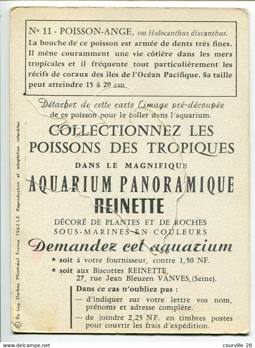 LOT 5 IMAGES 9,50 X 13 Cm REINETTE Poissons Des Tropiques Prédécoupés - Années 1950 - Animales