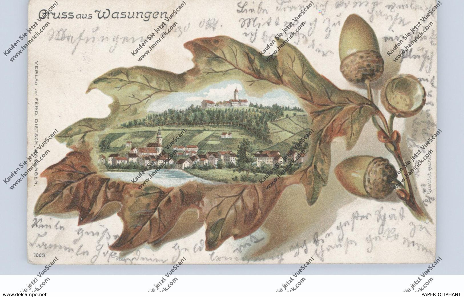 0-6104 WASUNGEN, Präge-Lithographie, Ortsansicht Im Eichenblatt - Wasungen