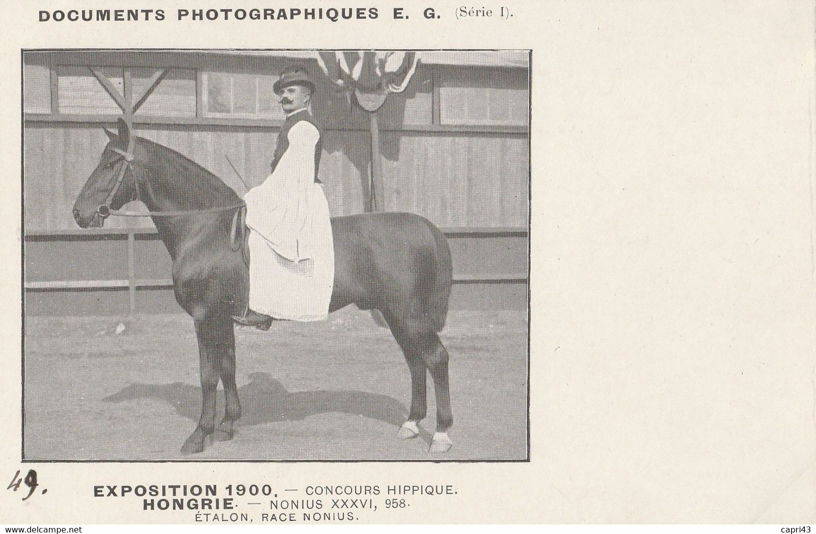 EXPO 1900 NONIUS  Etalon Race Nomius - Paarden