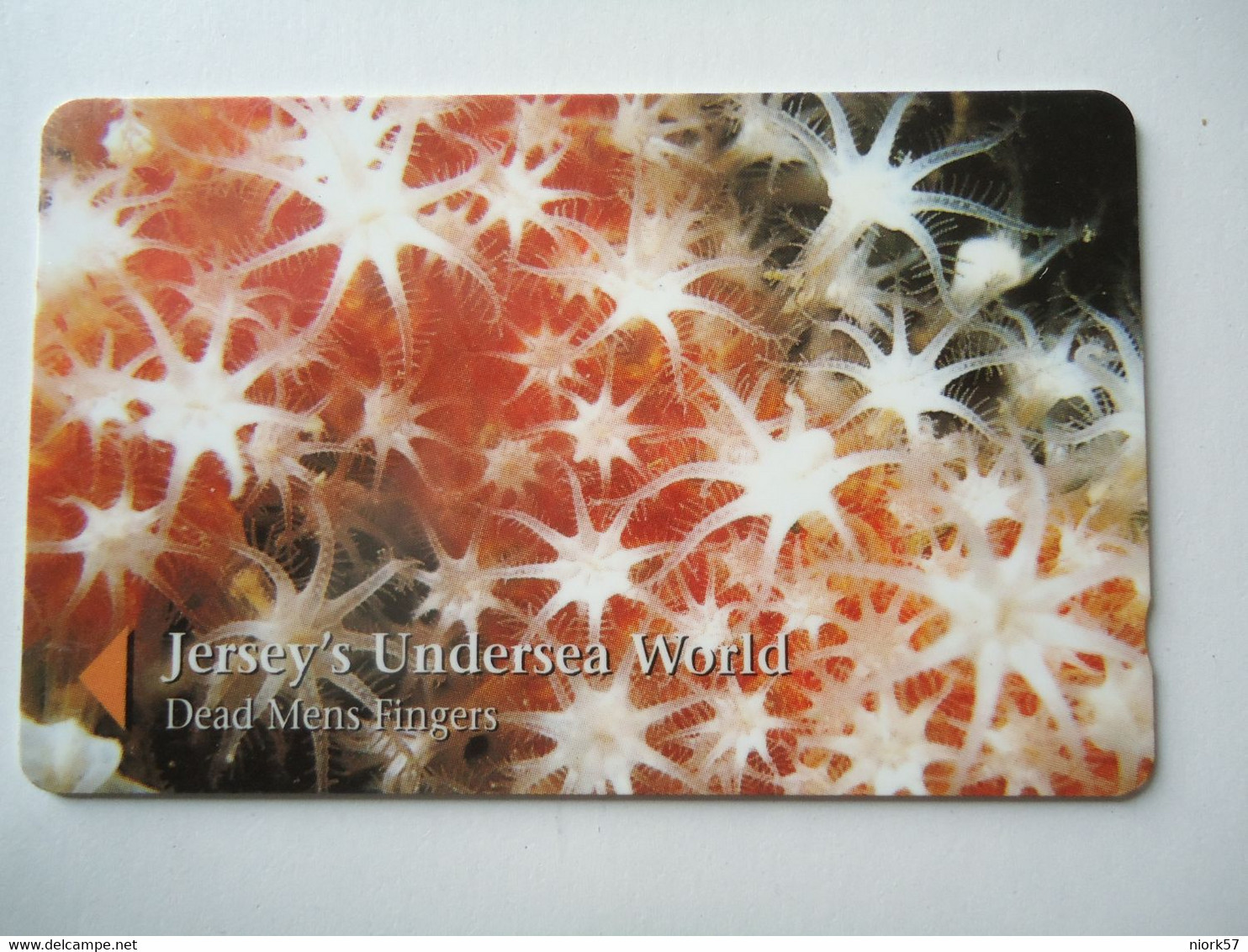 JERSEY USED CARDS MARINE LIFE FLOWERS - Peces