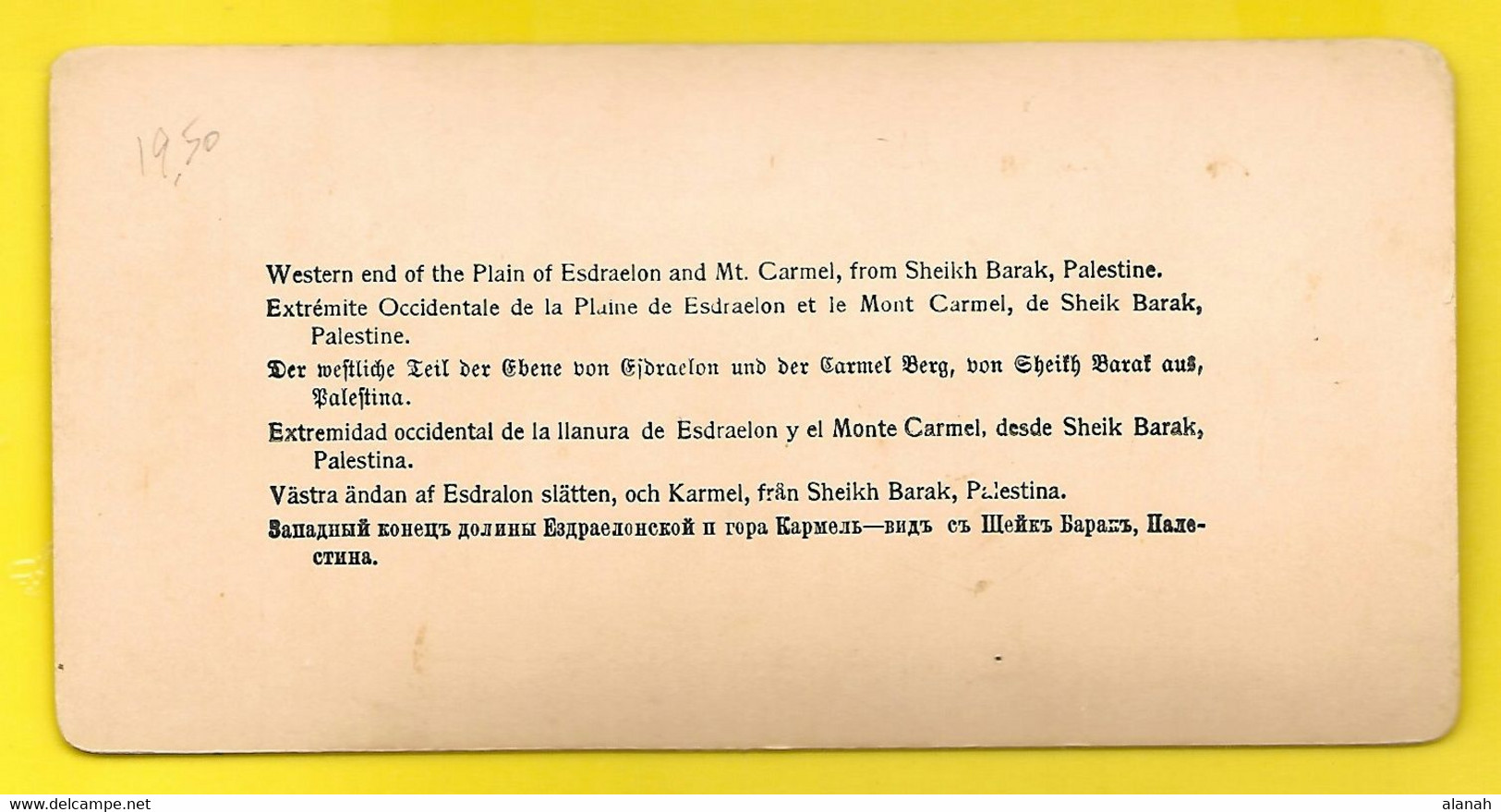 PALESTINE Western End Of The Plain Of Esdraelon And Mt Carmel From Sheikh Barak - Stereoscopio