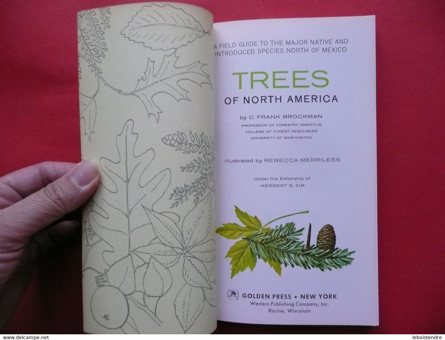 TREES OF NORTH AMERICA A GUILD TO FIELD IDENTIFICATION 1968 C. FRANK BROCKMAN ILLUSTRATED BY REBECCA MERRILEES - Sonstige & Ohne Zuordnung