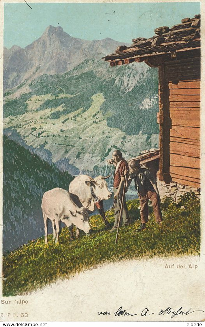 CP Timbrée De Verrières 1904 Auf Der Alp. Alpage . Vaches , Paturage , Fromage - Les Verrières