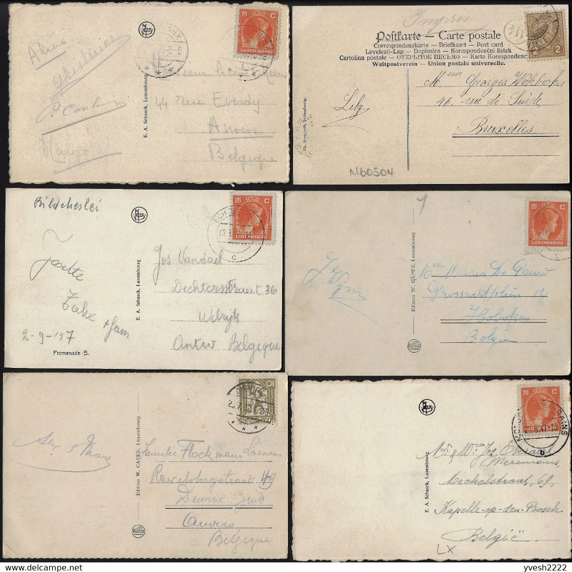 Luxembourg, Petit Lot De 12 Cartes Postales Envoyées Aux Tarifs Signature / 5 Mots. Peu Commun - Collections