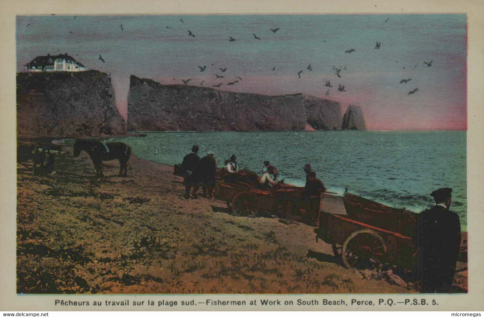 PERCE - Pêcheurs Au Travail Sur La Plage Sud - Percé