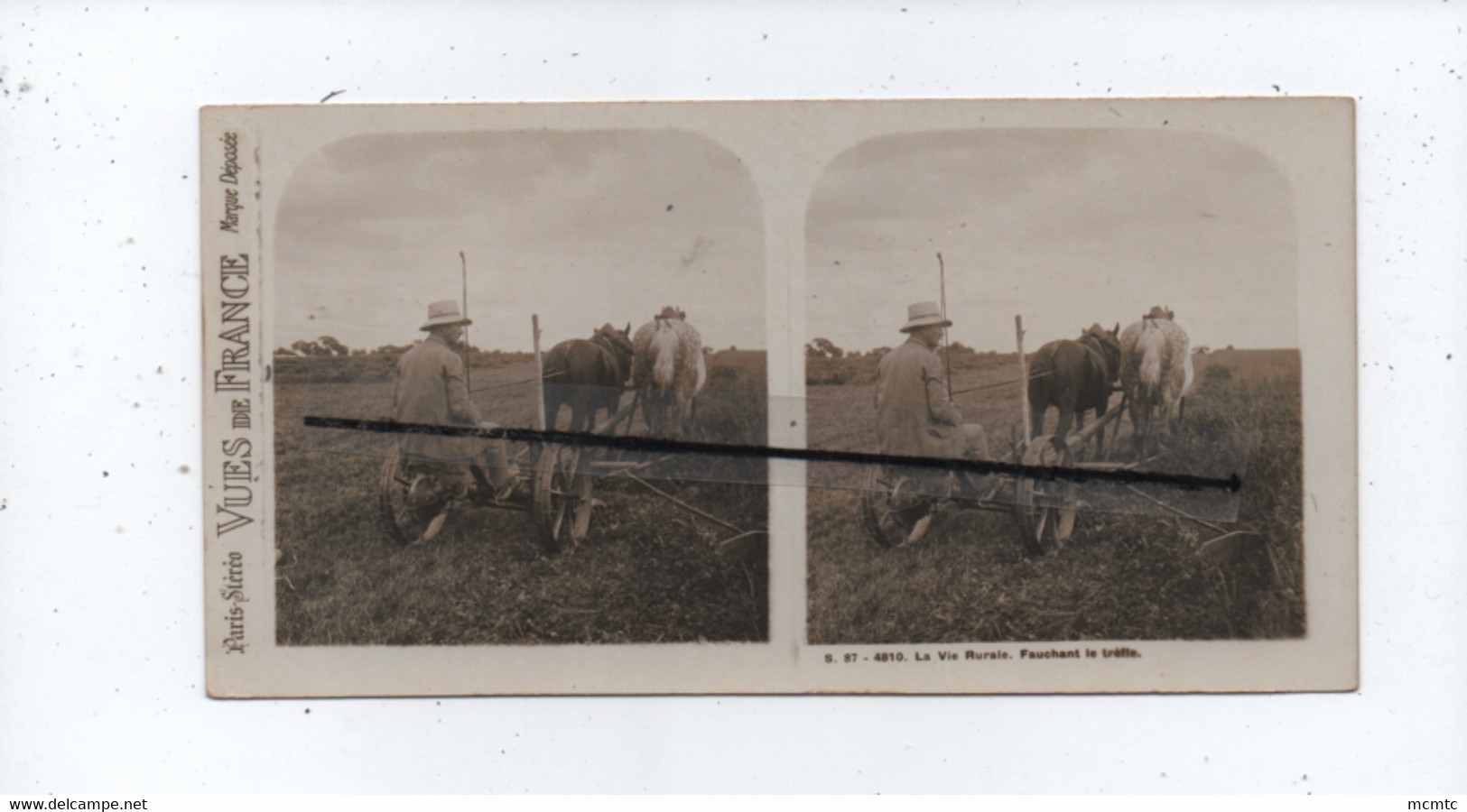 Vue Stéréoscopique  - La Vie Rurale  - Fauchant Le Trèfle -  (   Chevaux , Cheval , Agricole , Agriculture ) - Landbouw