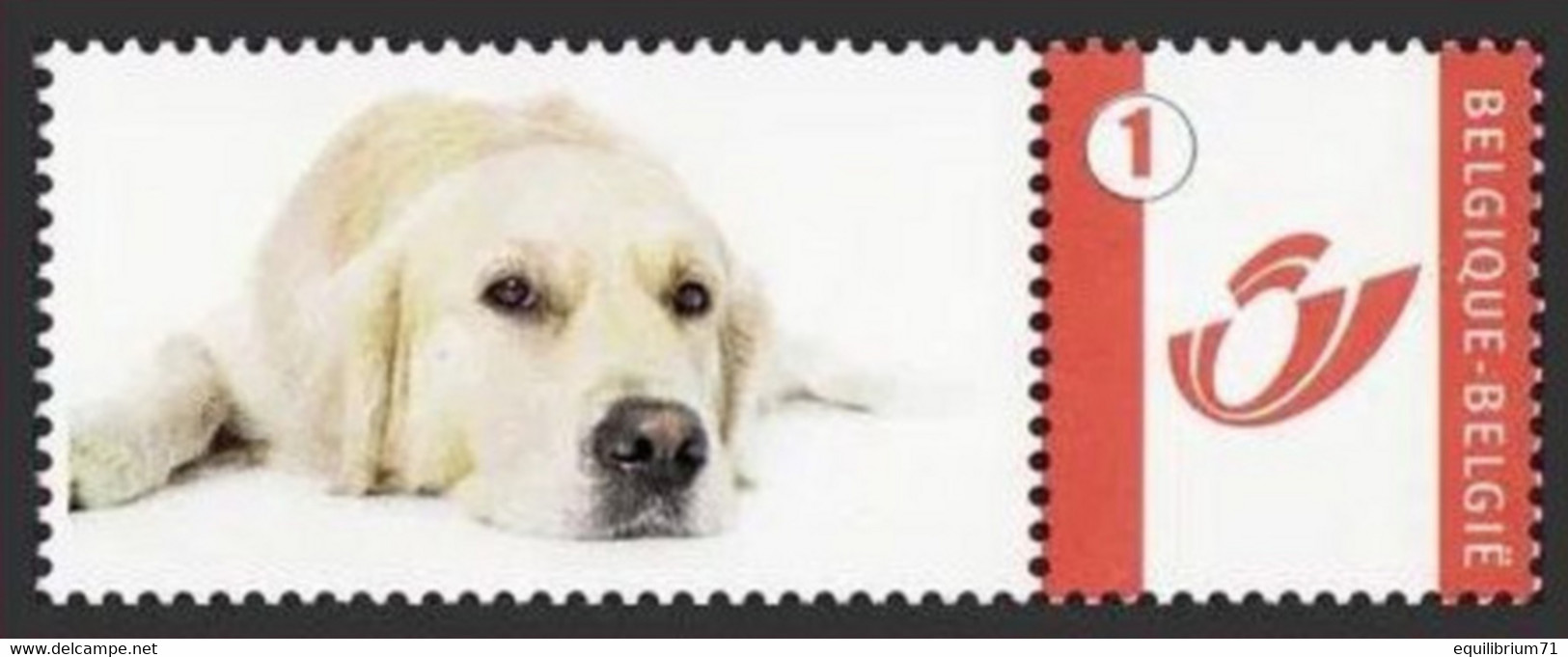 DUOSTAMP** / MYSTAMP** - Chien  / Hond / Hund / Dog - Labrador - Mint