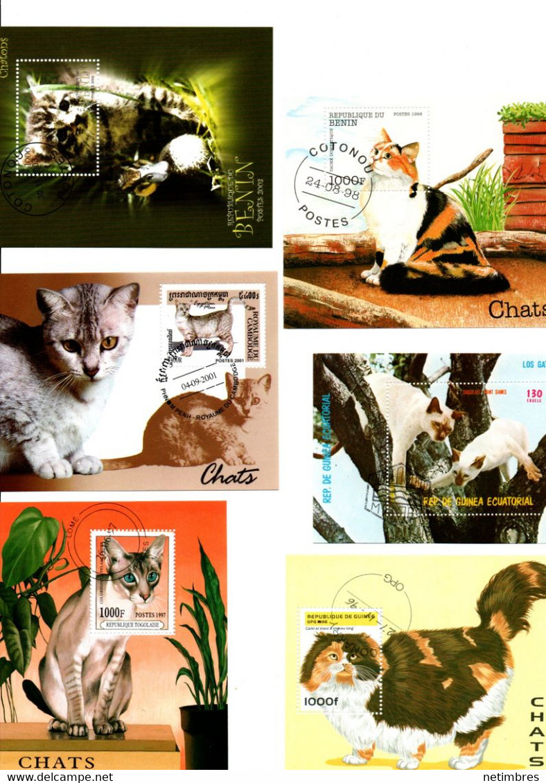 Lot Timbres Thematique " Chats " - Altri & Non Classificati