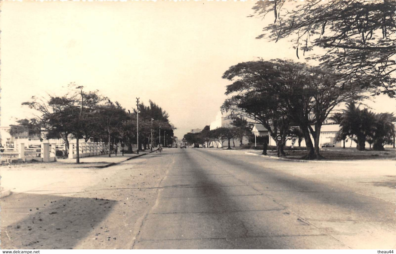 ¤¤  -  CONGO   -  Carte-Photo   -   POINTE NOIRE   -  Une Avenue     -   ¤¤ - Pointe-Noire