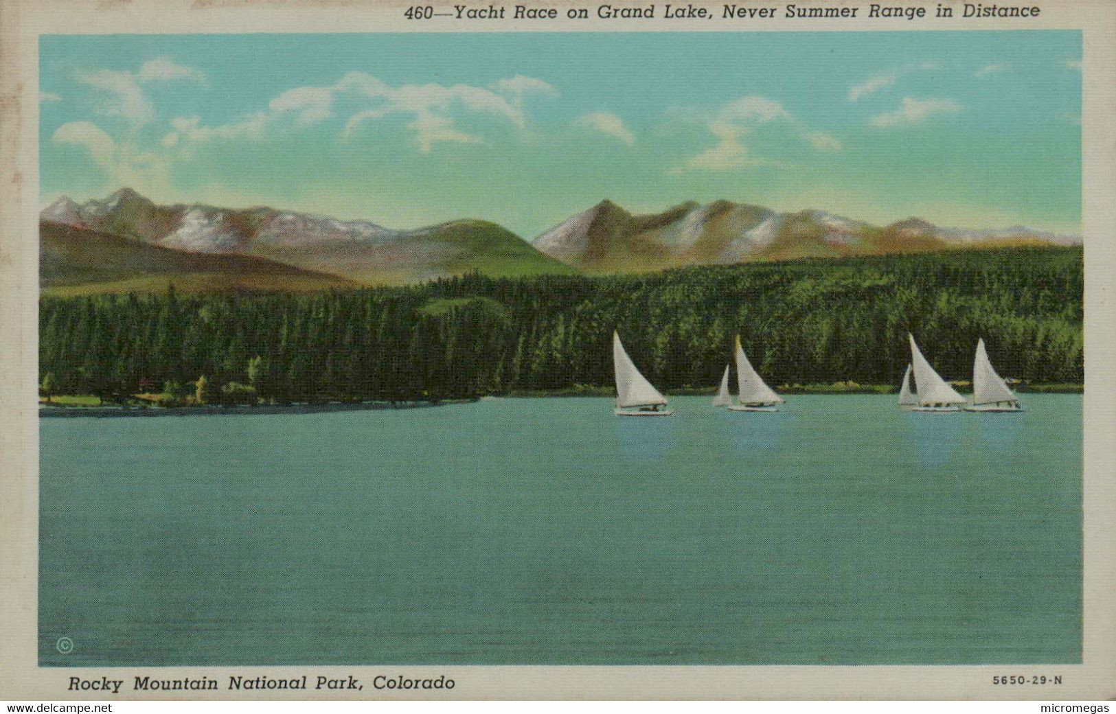 Yacht Race On Grand Lake, Rocky Mountains National Park, Colorado - Rocky Mountains