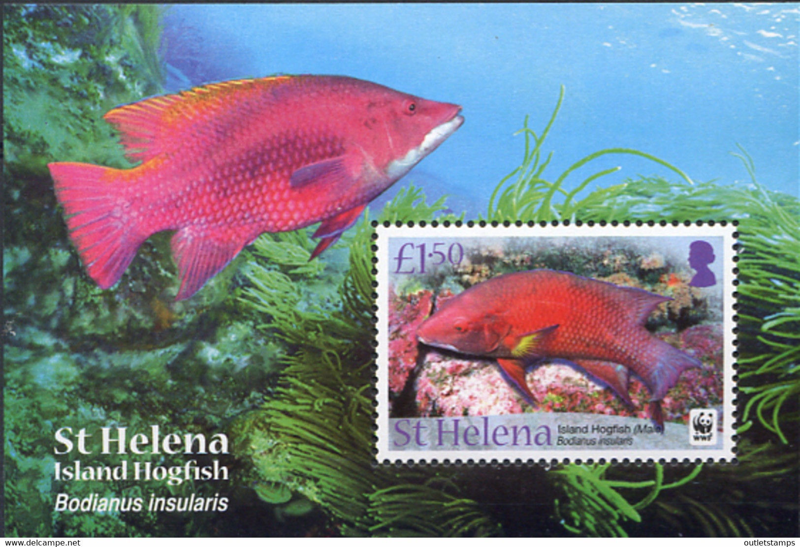 Ref. 268276 * NEW *  - ST. HELENA . 2011. 	MARINE FAUNA. WWF	. FAUNA MARINA. WWF - Isla Sta Helena