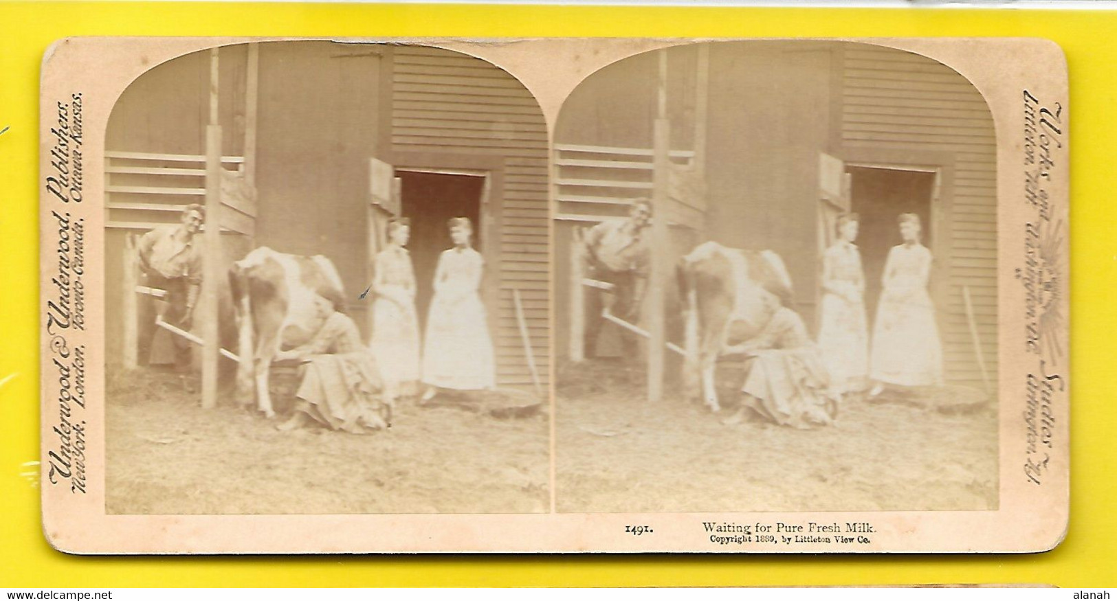 Waiting For Pure Fresh Milk 1889 Littleton (NH) USA - Stereo-Photographie