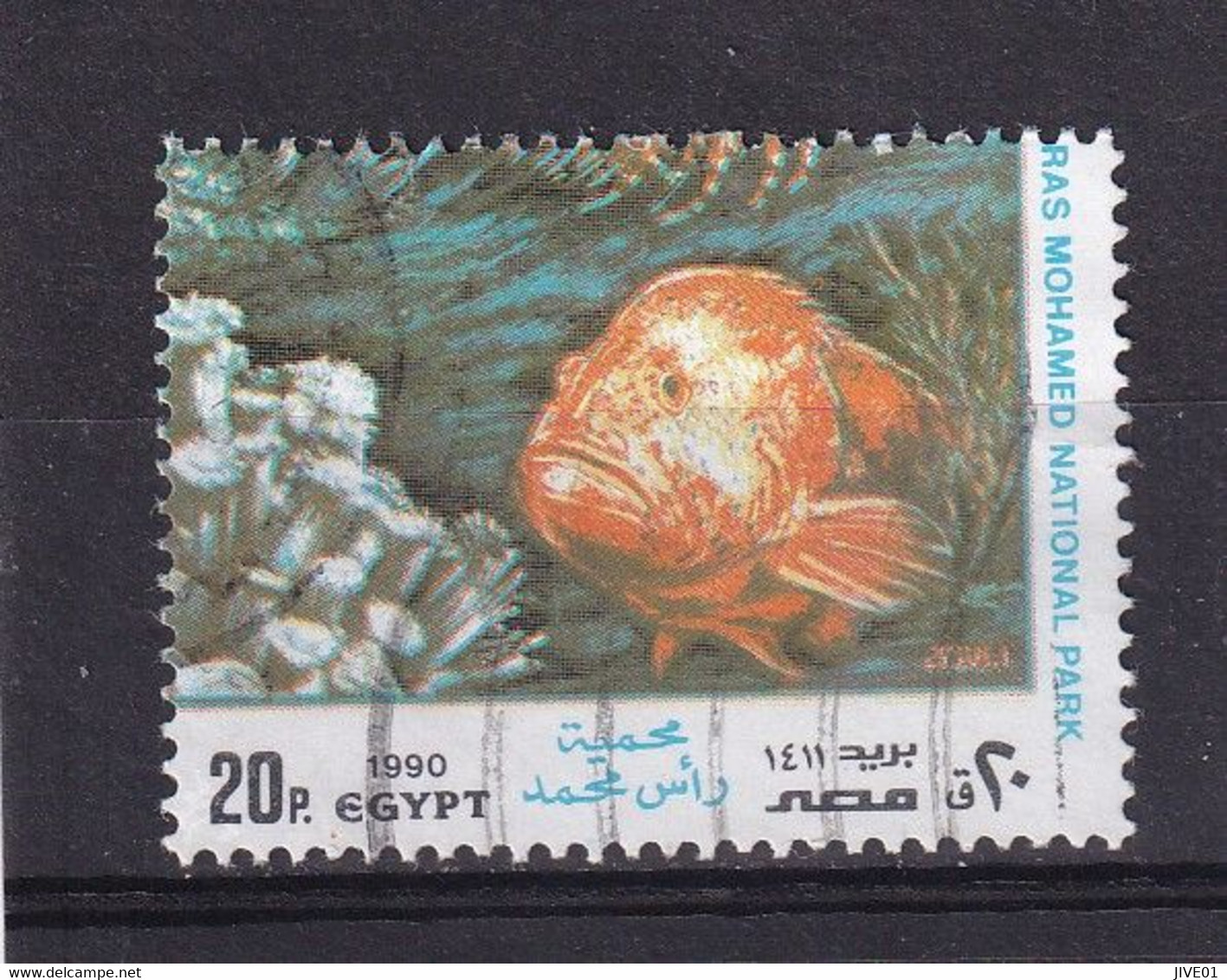 EGYPTE 1990 : Y/T  N° 1423  OBLIT. Poissons - Usati