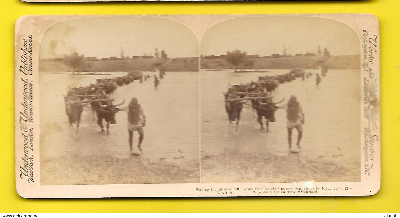 South Africa Fording The Molder With Army Supplies After Passage Was Forces By French - Stereoscopio