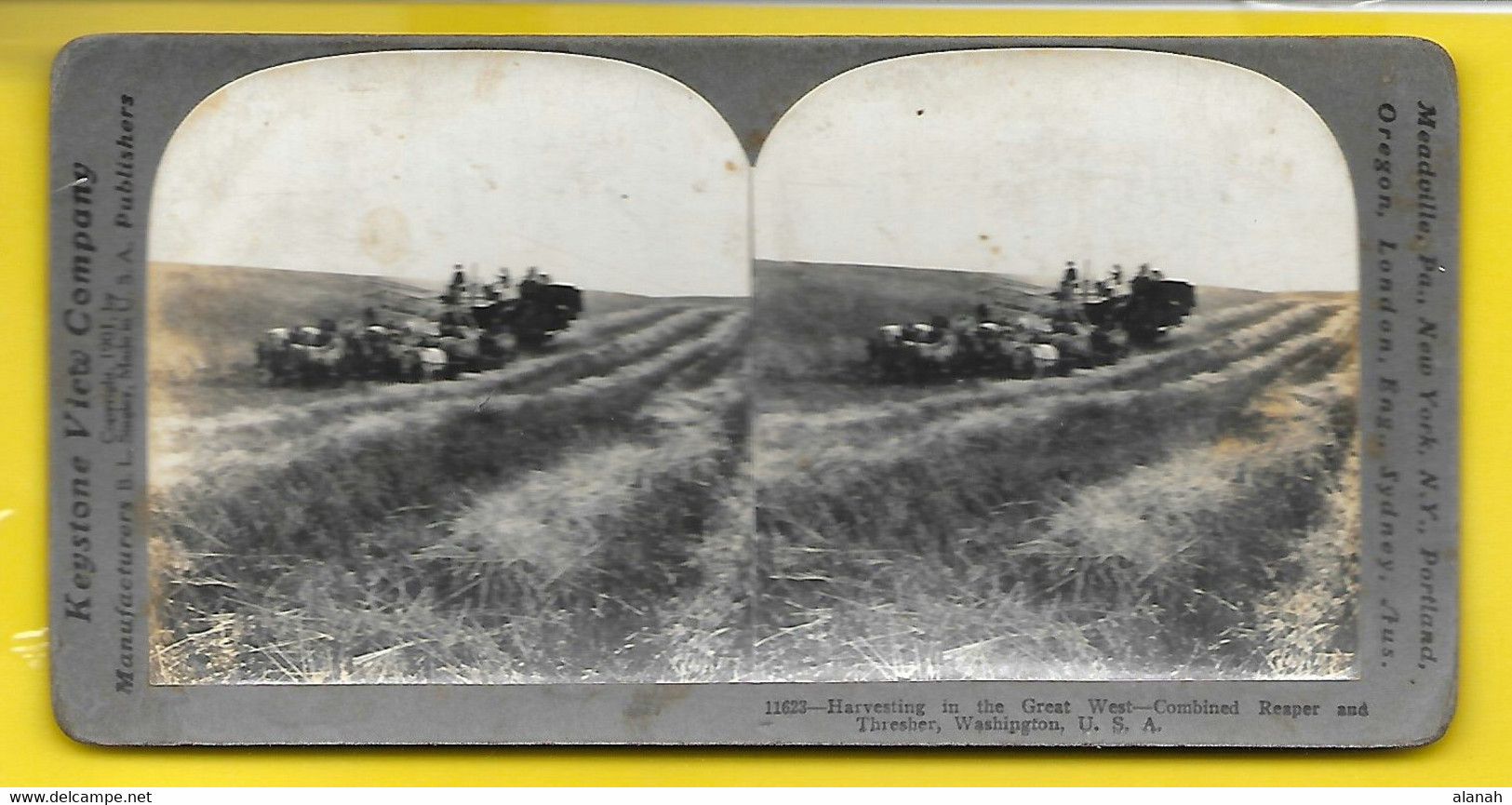 Harvesting In The Great West-Combined Reaper And Tresher Washington USA Moissons - Stereo-Photographie