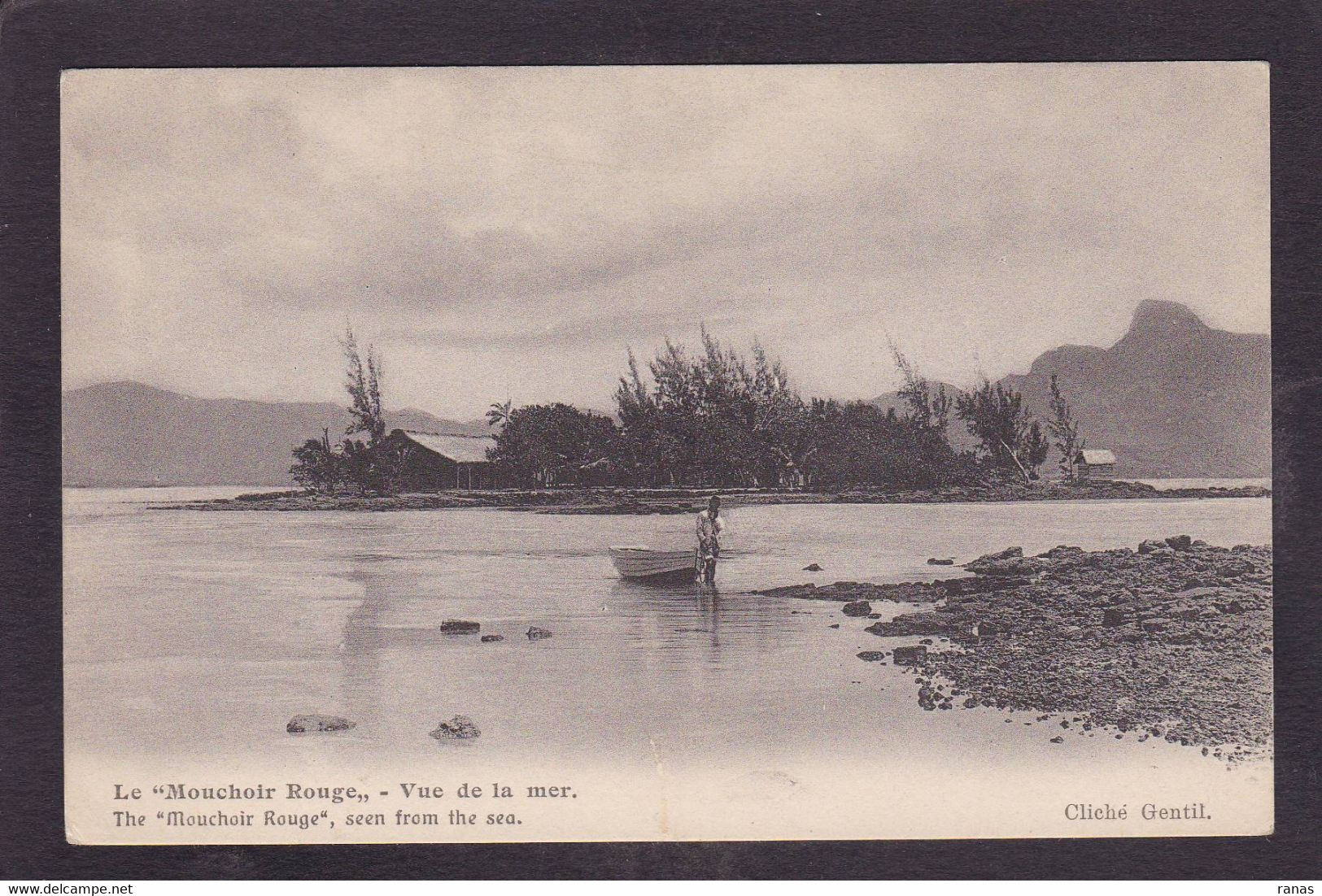 CPA Maurice Mauritius Non Circulé - Maurice