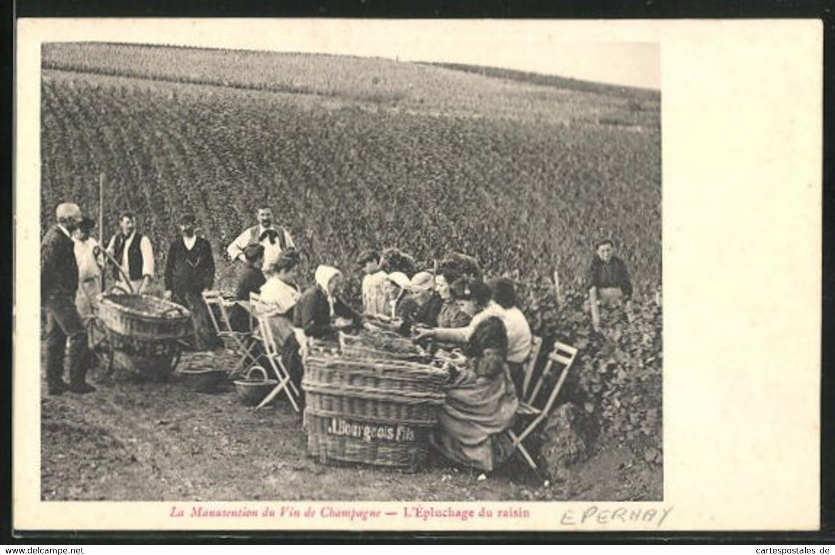 CPA Épernay, La Manutention Du Vin De Champagne, L`Épluchage Du Raisin, Bauern Bei Der Weinernte - Otros & Sin Clasificación