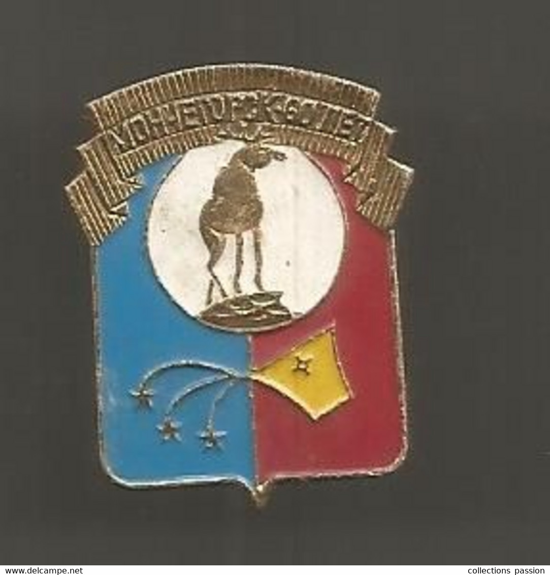 Insigne , MILITARIA , Russie  , 2 Scans ,  Frais Fr 1.95 € - Other & Unclassified