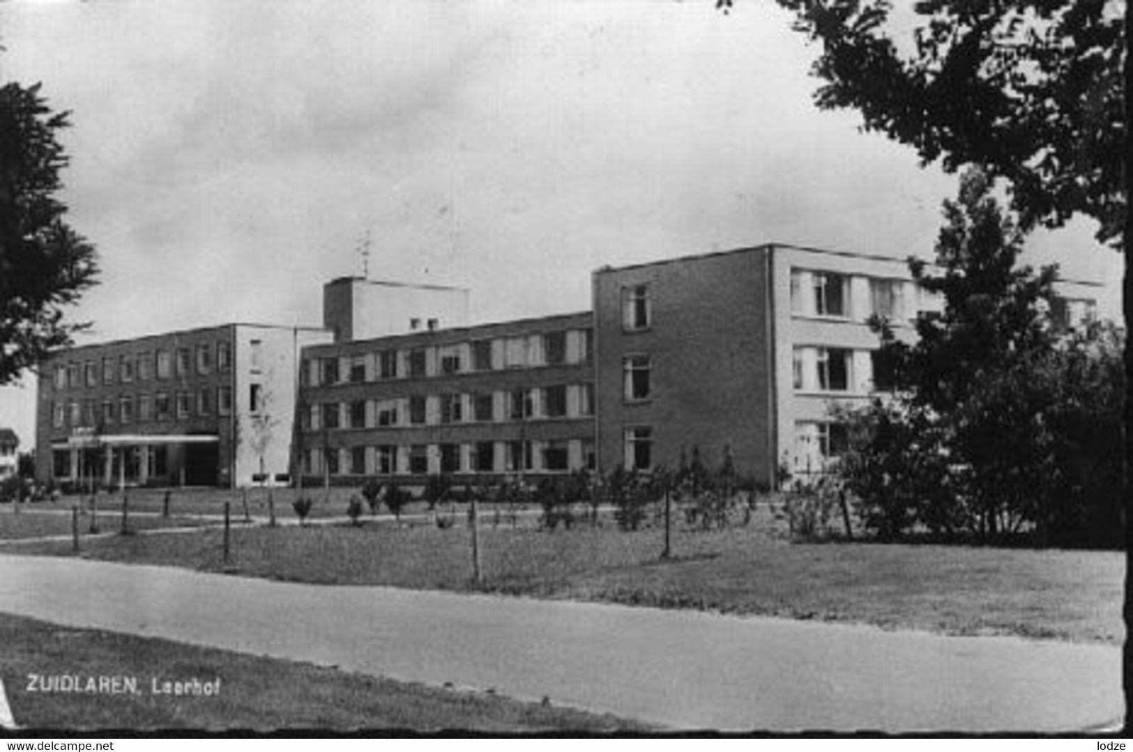 Nederland Holland Pays Bas Zuidlaren Laarhof - Zuidlaren