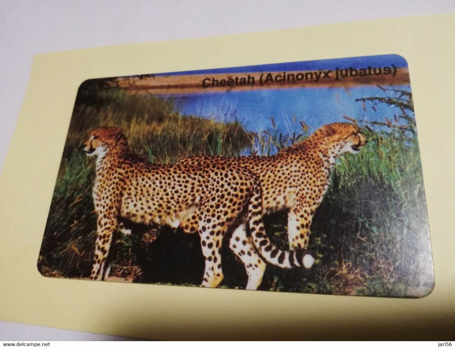 NAMIBIA  CHIPCARD    $10 BLEU / CHEETAH        Fine Used       **3841** - Namibia