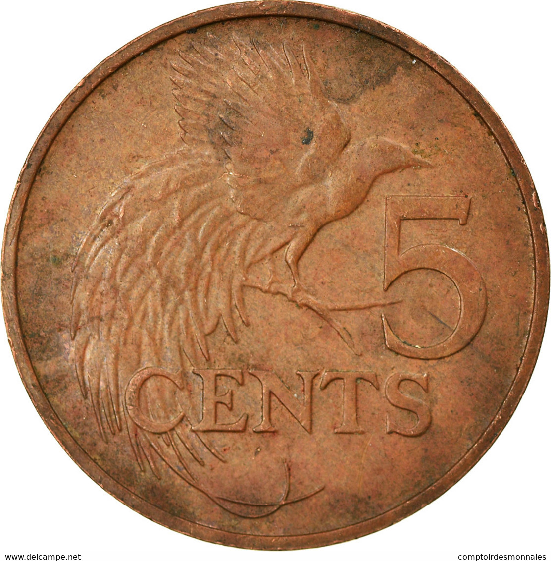 Monnaie, TRINIDAD & TOBAGO, 5 Cents, 2005, TB+, Bronze, KM:30 - Trinité & Tobago