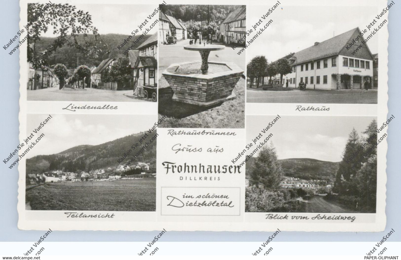 6340 DILLENBURG - FROHNHAUSEN, Lindenallee, Rathaus.... 1958 - Dillenburg