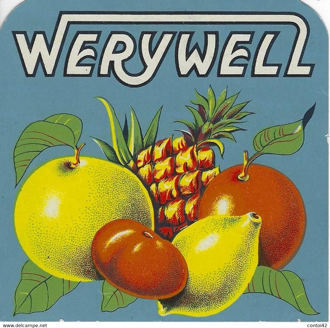 ETIQUETTE ANCIENNE ORIGINALE PUBLICITE FRUITS WERYWELL CHROMOGRAPHIE - Fruit En Groenten