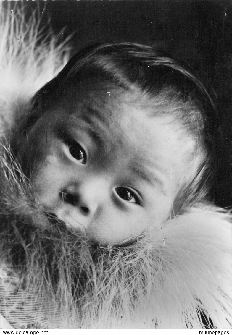 GROENLAND Banquise Petit Esquimaux Bien Sur Le Dos De Sa Maman - Groenland