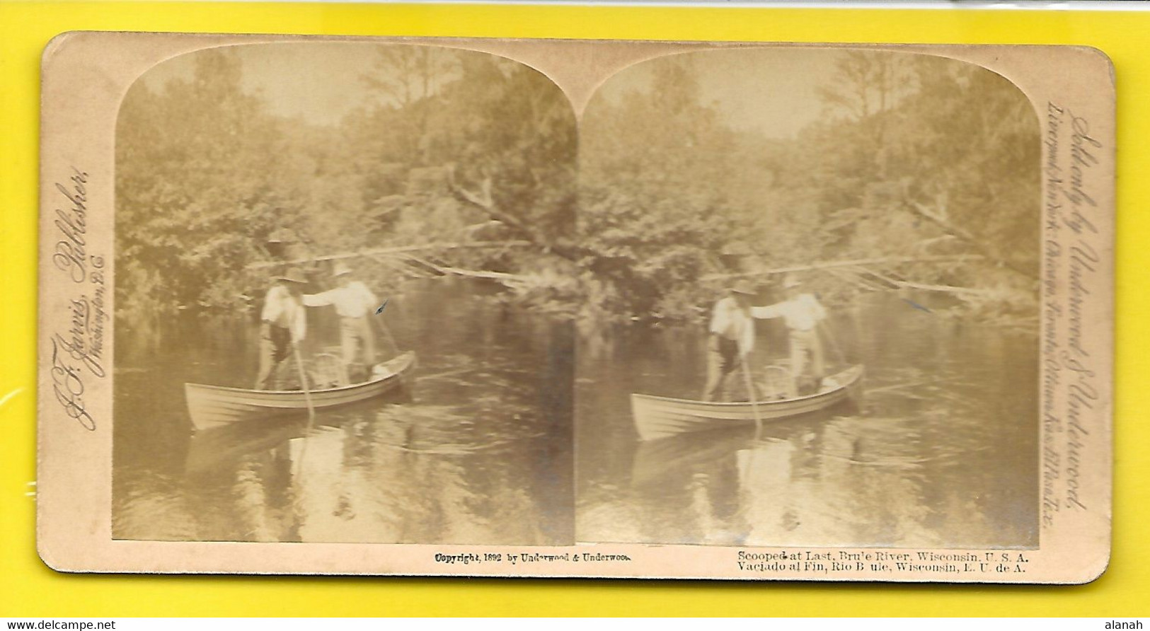 1892 Scooped At Last Brule River Wisconsin USA - Stereo-Photographie